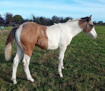 Voir la galerie (7 photos)