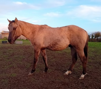 Voir la galerie (6 photos)