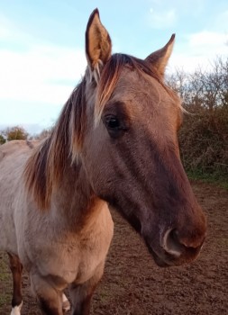 Voir la galerie (5 photos)