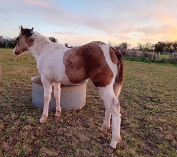 Voir la galerie (8 photos)