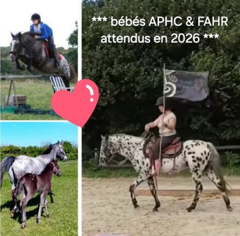 Voir la galerie (5 photos)