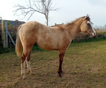 Voir la galerie (5 photos)