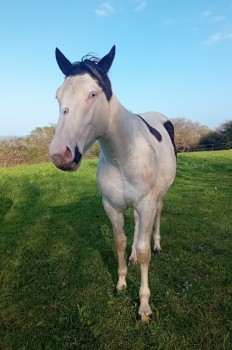 Voir la galerie (9 photos)