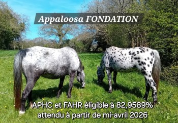 Voir la galerie (3 photos)