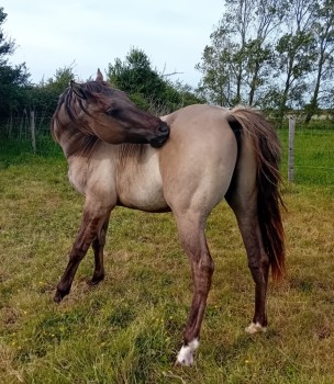 Voir la galerie (7 photos)