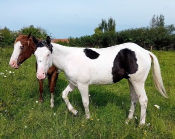 Voir la galerie (7 photos)