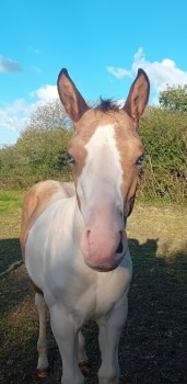 Voir la galerie (7 photos)