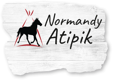 Normandy Atipik - Élevage de chevaux américains